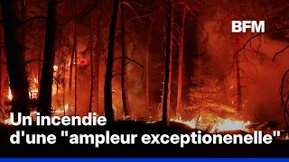 Stunning footage of the fire in the Fontainebleau forest