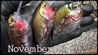 WORKSHOP UPDATE (and bonus trout clips) - 11/16/2022
