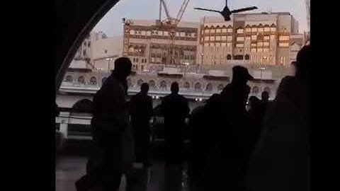 تلاوة مؤيد المزن