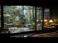 I turned on the Soothing Rain Sounds take a nap, and I slept all night. | Rain sounds for sleep