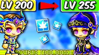 Maplestory Reboot  - Adele LVL 200-255 Training Guide