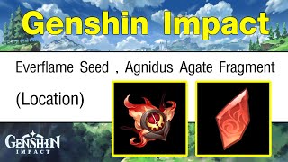 Genshin Impact - Everflame Seed , Agnidus Agate Fragment Location (Pyro Regisvine)