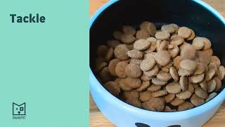 The Pet Food Brands DON’T Want You to Know About