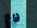 Real Test: Poolease X1 vs Leaves, Sand & Hair–Does the 2L Capacity Hold Up? #poolcleaning #poolcare