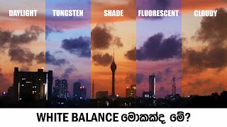 මොකක්ද මේ White Balance, Color Temperature සහ Kelvin කියන්නේ?