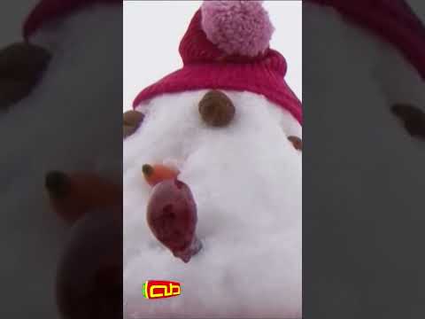 رجل الثلج أناشيد أطفال