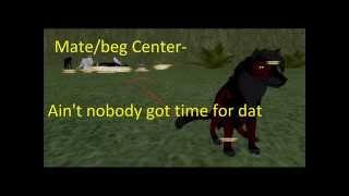 Neva Go To The Mate Center