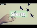 Strange Birds - Birdy [ Esperanto/Lyrics ]