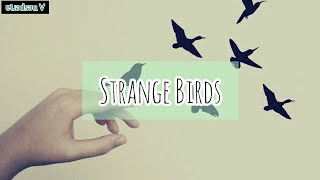 Strange Birds – Birdy [ Esperanto/Lyrics ]