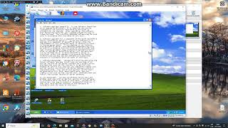 Windows Server 2003 Standard Edition RTM Build 3790 en virtual machine parte 1