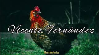 El Gallo Negro - Vicente Fernández - Letra