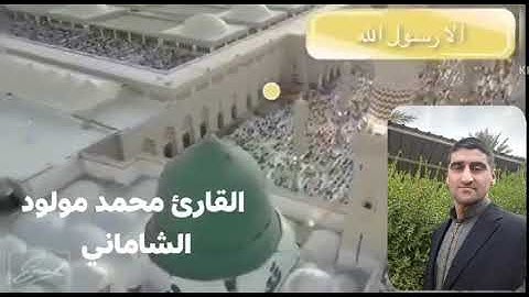 اواخر سورة الفتح بصوت القارئ محمد مولود الشاماني