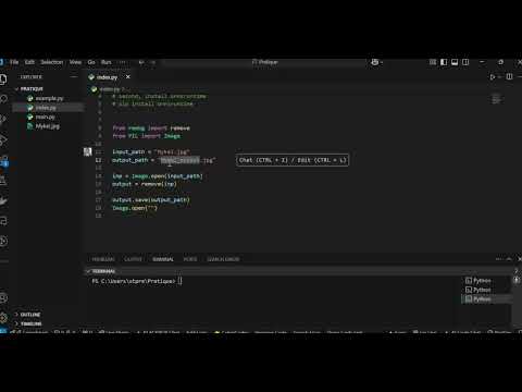 Best Way to Remove Image Background in Python FAST !
