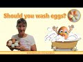 Should you wash eggs for eating?