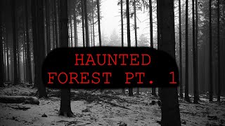 Enchanted Forest 300 Am Challenge Cobb Estate