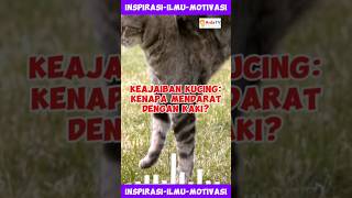 Mengapa Kucing Selalu Mendarat dengan Kaki?Ini Penjelasannya #FaktaKucing #KucingMendarat #CatLovers