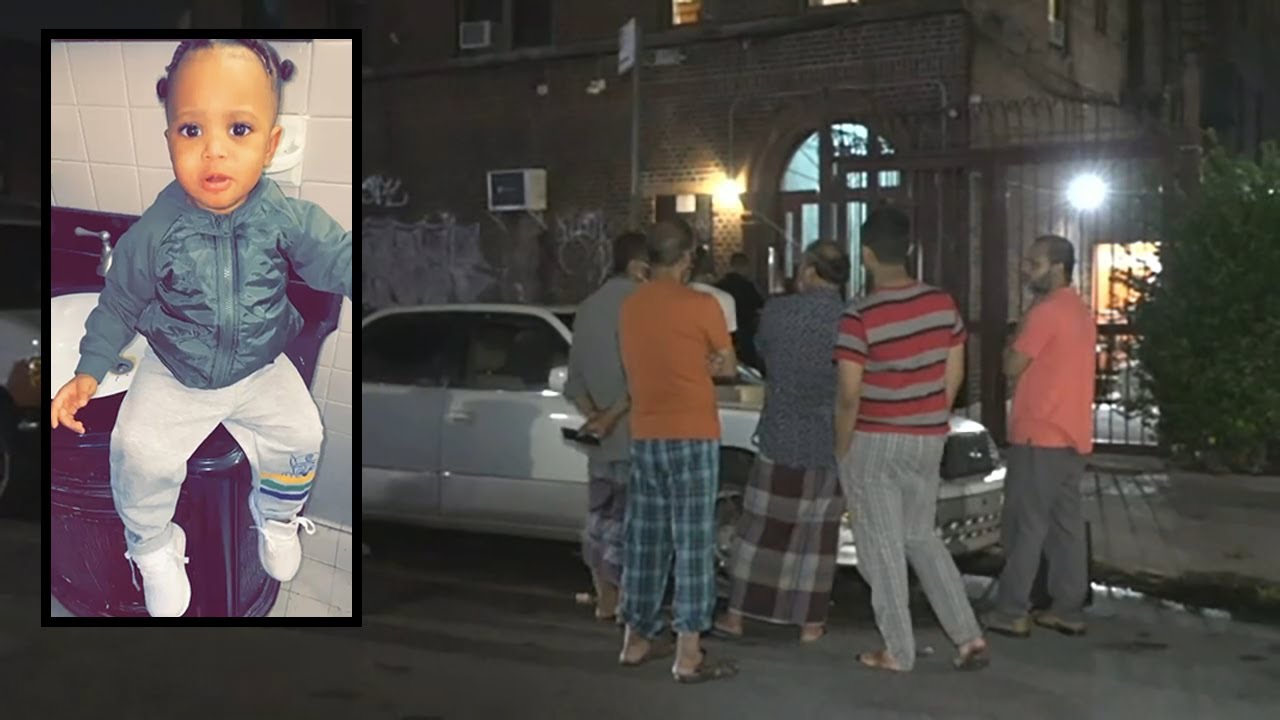 19-month-old boy mauled to death by family dog in Brooklyn - YouTube