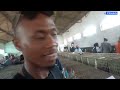 HIVE OF ACTIVITY: The hall showcasing poultry is a hive of activity at the ZITF.