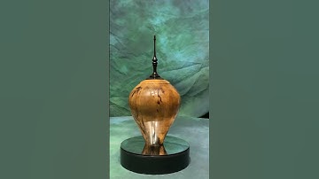 Woodturning Hollow Form