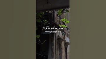 {أفلا ينظرون إلى الإبل كيف خلقت} #عبدالرحمن_مسعد #سورة_الغاشية #ارح_قلبك #قران_كريم