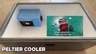 How to Make Peltier Cooler Box 12706 DIY Peltier Module