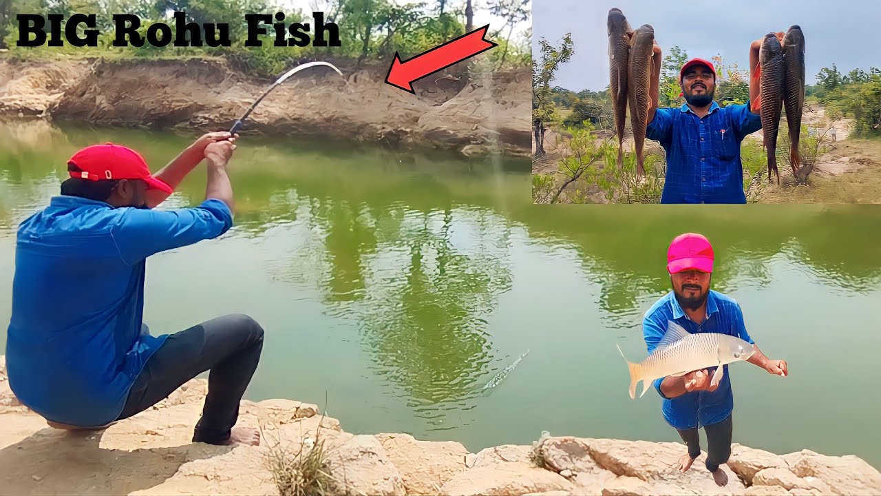 Big Rohu Fishing Fishing Videos In Hindi Fish Catching Hook