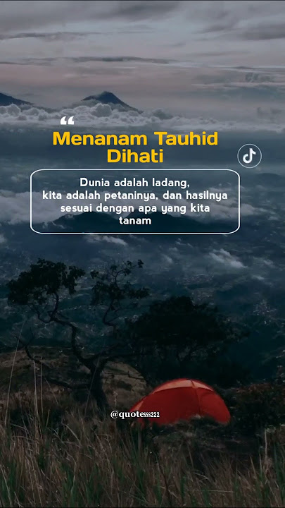 Hasilnya Sesuai Yang Kita Tanam, Tauhid Hati || Quotes || Story #shorts #quotesstory #storywa
