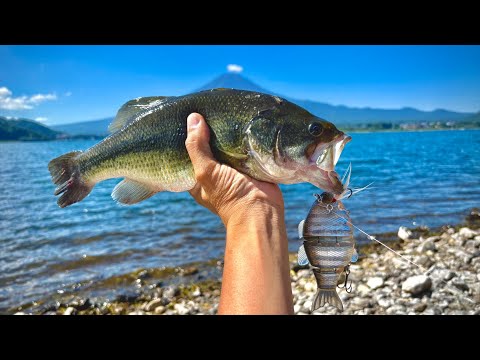 スペースモンキーズTVリベンジ!!(R) - YouTube