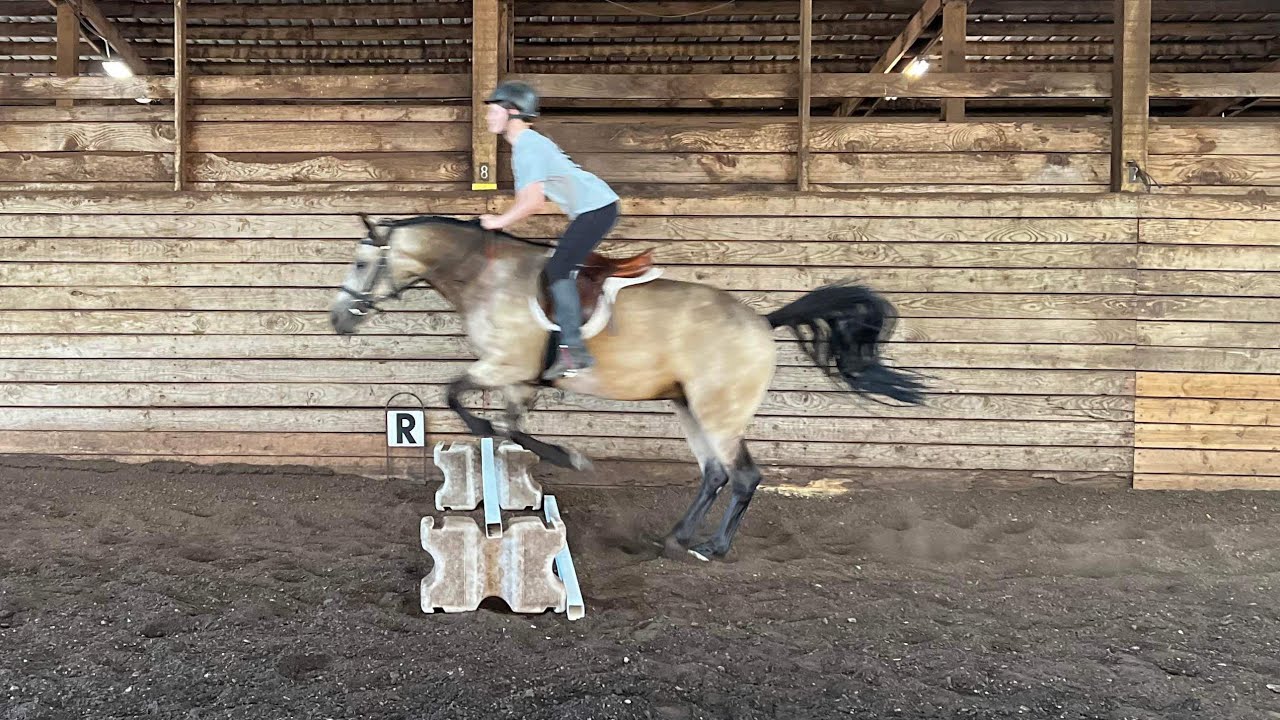 Lord Farquaad On Horse