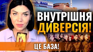 ЦЕ ЗМУСИТЬ ЇХ ЗВІДТИ ПІТИ! Ольга Стогнушенко: ПРОЦЕС ВЖЕ ПОЧАВСЯ! ВОНИ ТАМ ПОДОХНУТЬ!