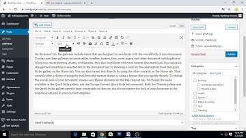 How to change the font size to any preferred size in WordPress website
