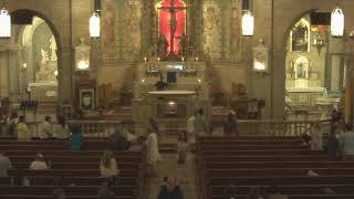 11th Sunday of Ordinary Time  - Mass at Noon