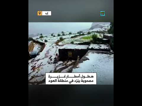 برد كثيف يغطي منطقة العود في إب بلوحة بيضاء