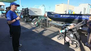 Backstage tour of the SeaWorld Rescue Center - SeaWorld San Diego