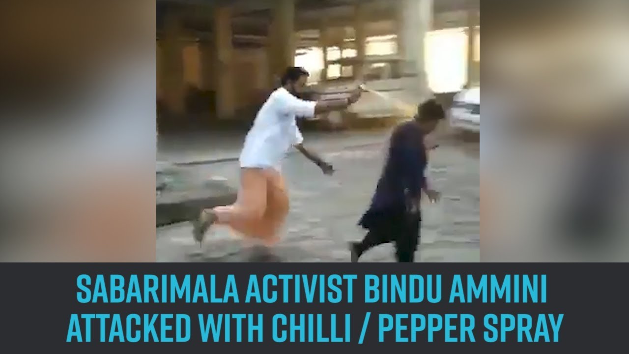 Watch | Sabarimala | Trupti's arrival in Kochi sparks protests, Bindu attacked with pepper spray