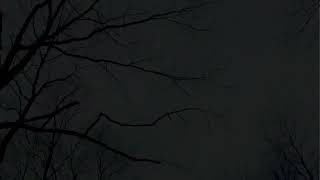 A Tranquil Storm