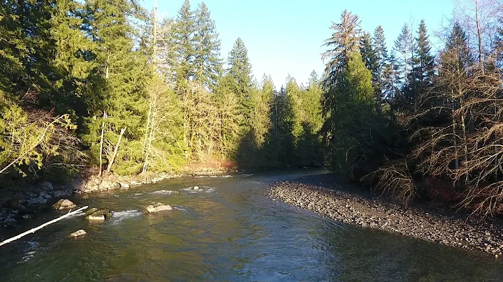 The North Fork of the Stillaguamish River - Drone ...