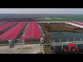 LIVI poultry farm in China