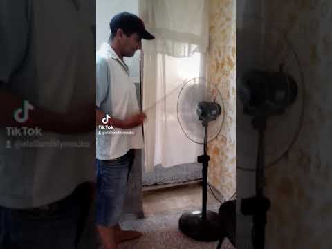 الدنيا تدور