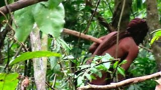 Amazonie Lhomme Au Trou, Le Survivant Dune Tribu Indigène Décimée Est Mort De Cause Naturelle