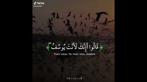 قران الكريم