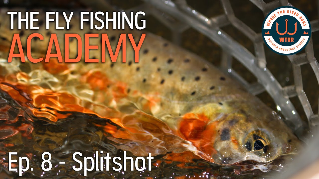 The Purpose of Split Shot in Fly Fishing - The Fly Fishing Academy