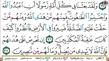 (08) تلاوة بصوت القارئ هزاع البلوشي سورة النحل، الآيات: 35-37