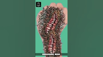 HAND DEEP CLEANING | ASMR ANIMATION VIDEOS | ASMR TREATMENT #asmr #animation #shorts #shortvideo