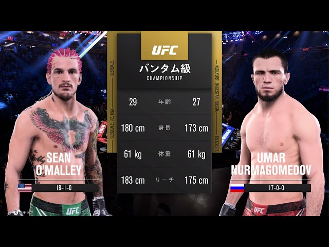 UFC ショーン・オマリー キャップ （ショーン・オマリーがメラブ