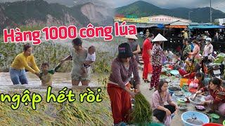 Lũ lụt nhấn chìm Hàng 1000 công lúa Vùng 7 núi - Chợ An Hảo vui trở lại