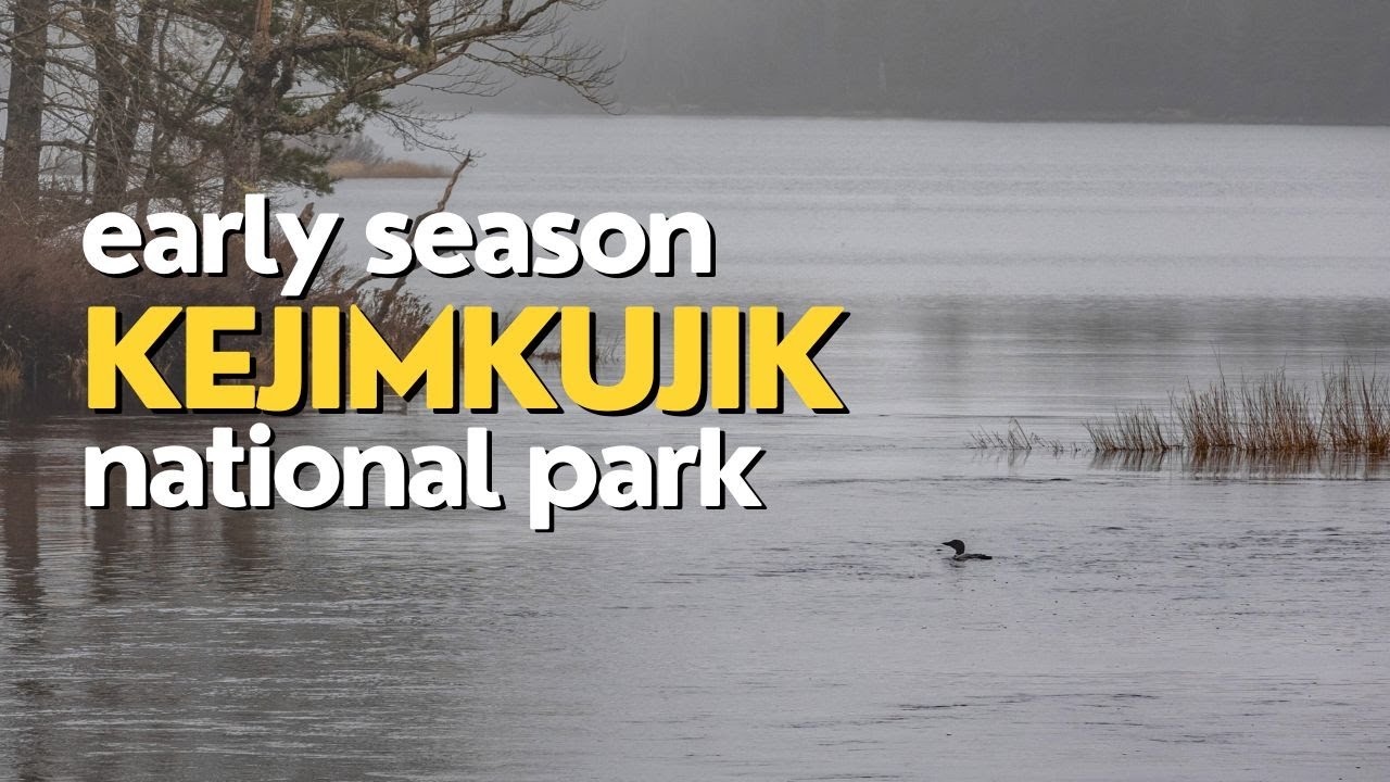 Early Season at Kejimkujik National Park | Looking for Endangered ...