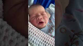 New Arrival Bringing Joy Boss Energy