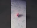 video khá trễ và tệ thông cảm