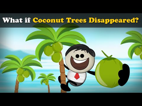 코코넛 나무가 사라진다면? + 더 많은 동영상 | #aumsum #어린이 #과학 #교육 #어린이
